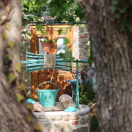 Studios Villa Eleni Platanias  Exteriér fotografie